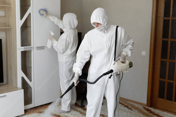 Best Mold Cleaning Services  in Passaic, NJ